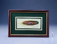 藏品(哥國慶典)的圖片